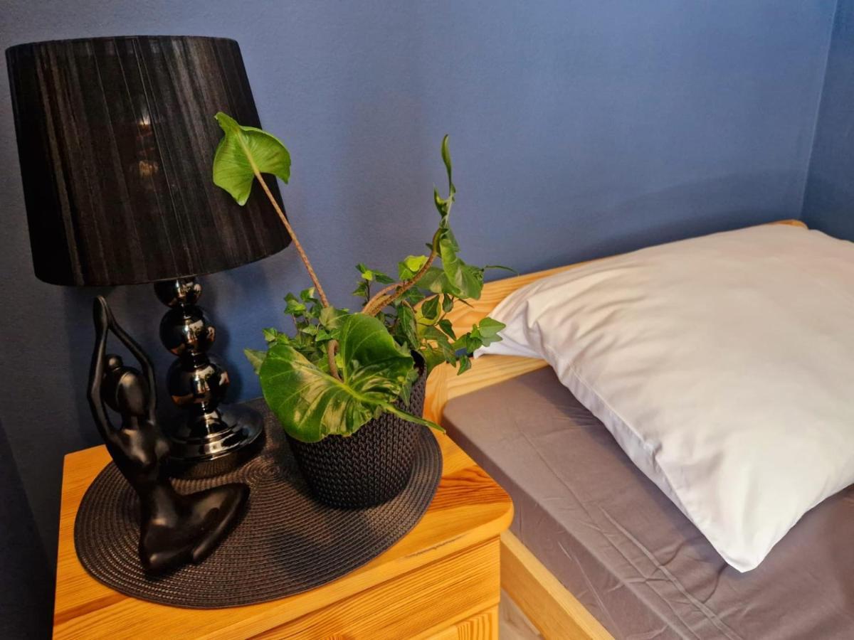 Harmatowka Bed and Breakfast Bukowina Tatrzańska Εξωτερικό φωτογραφία